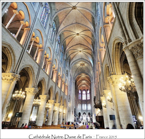 Cathedrale Notre-Dame de Paris ‧ France 2015