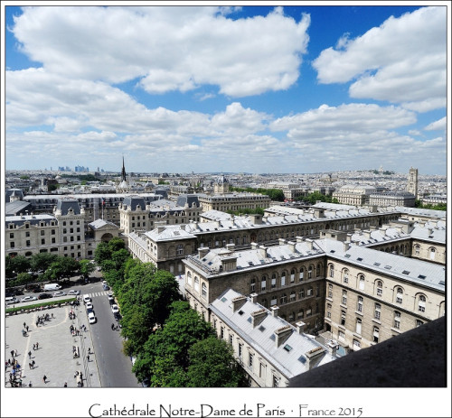 Cathedrale Notre-Dame de Paris ‧ France 2015