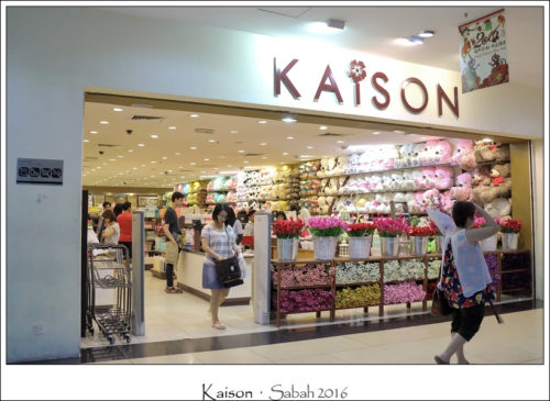 bki2016_Kaison